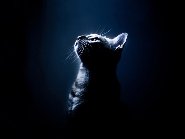 06c62f0c9dc7d61983f46910bb3118d0.jpg